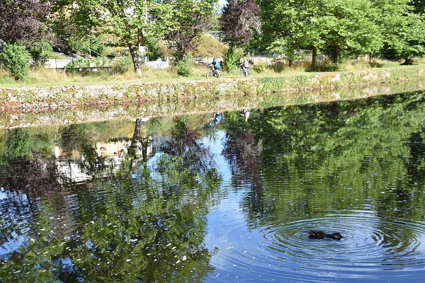 Camping Aubusson août 2024 b